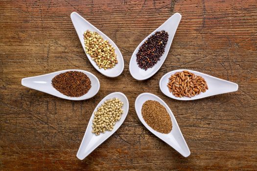 six healthy, gluten free grains (quinoa, brown rice, teff, buckwheat, sorghum. kaniwa), top view of small spoons against rustic wood