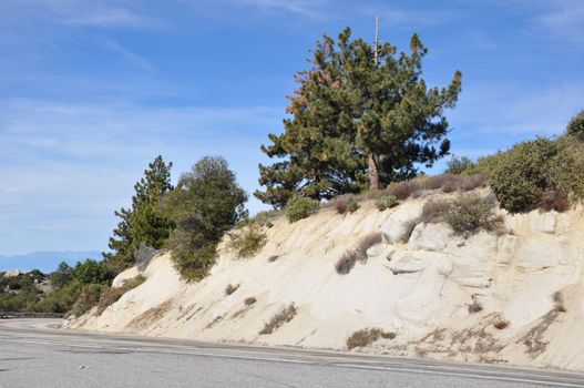 Pines to Palms Scenic Byway in California