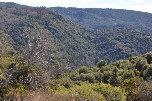 Pines to Palms Scenic Byway in California