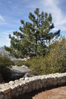 Pines to Palms Scenic Byway in California