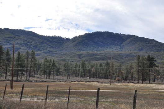 Pines to Palms Scenic Byway in California