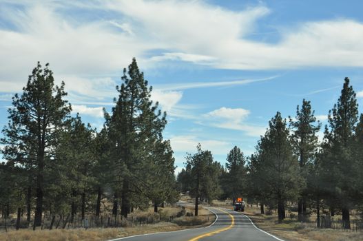 Pines to Palms Scenic Byway in California