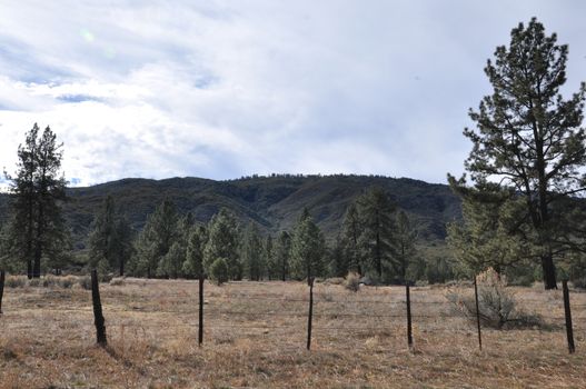 Pines to Palms Scenic Byway in California