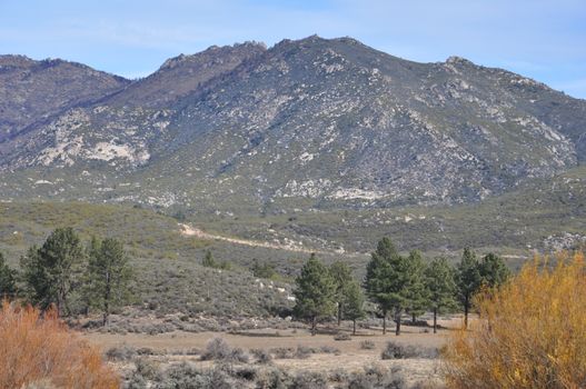 Pines to Palms Scenic Byway in California