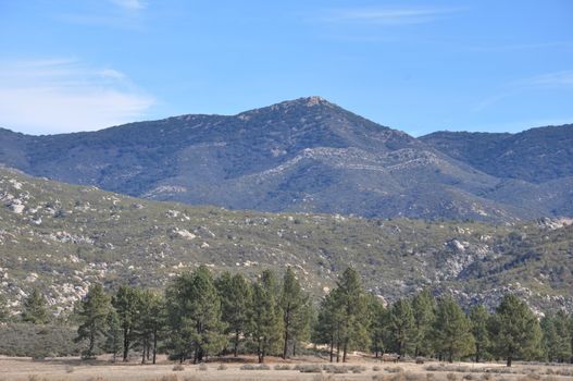 Pines to Palms Scenic Byway in California