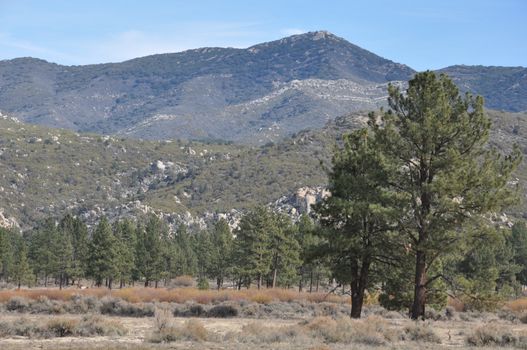 Pines to Palms Scenic Byway in California