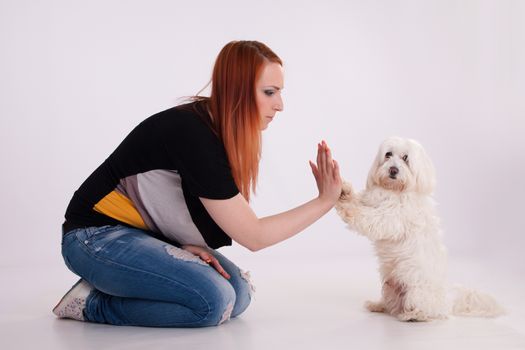 Young redhead woman with her white Maltese dog in studio