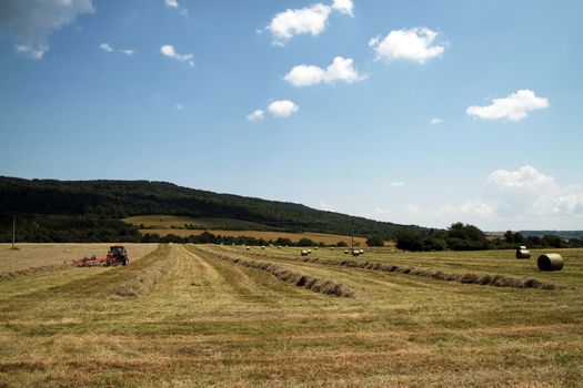 Tractors on field collected hay and make the packages