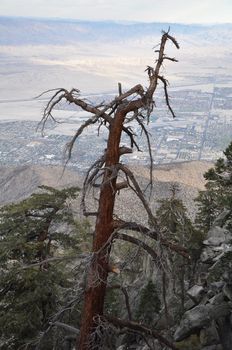 View of Palm Springs from Aerial Tramway in California