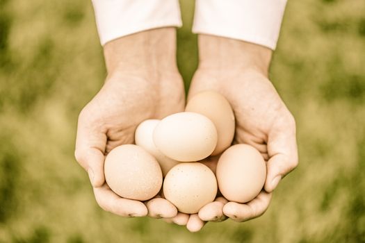 Eggs in Hands of a Farmer over Grass background