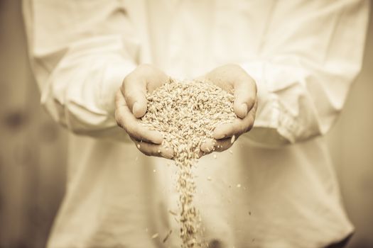 Farmer Showing Animal Dry Food in its hands