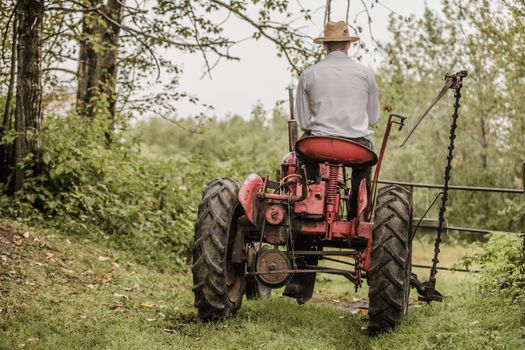 Young Farmer Driving a Red Old Vintage Tractor