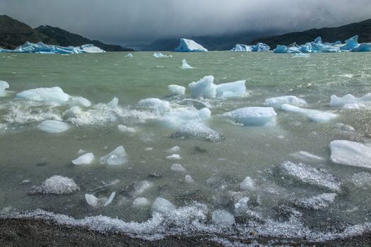 Icebergs from the Grey Glacier (in the far distance) in Grey Lake in the Southern Patagonian Ice Field in Torres del Paine National Park in southern Chile.