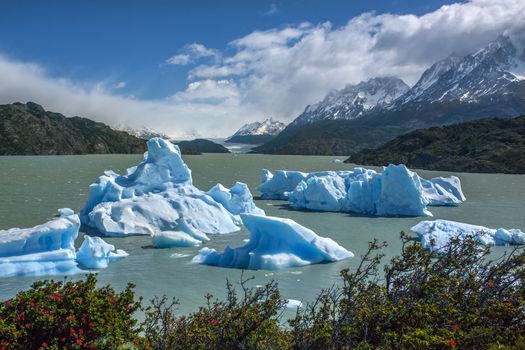 Icebergs from the Grey Glacier (in the far distance) in Grey Lake in the Southern Patagonian Ice Field in Torres del Paine National Park in southern Chile.