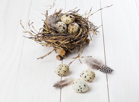 quail eggs on white wooden background