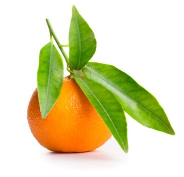 Tangerine with green leaves isolated on white background