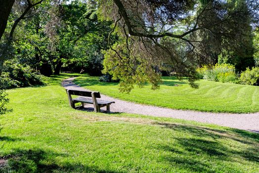 Bench in Oslo botanical garden