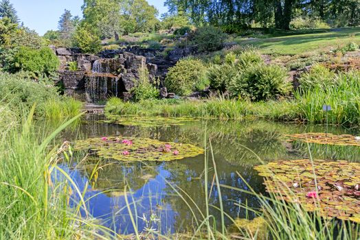 Pond at botanical garden at Oslo Norway