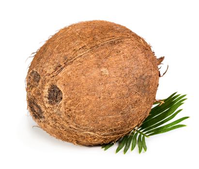 Fresh whole coconut with green leaf isolated on white background