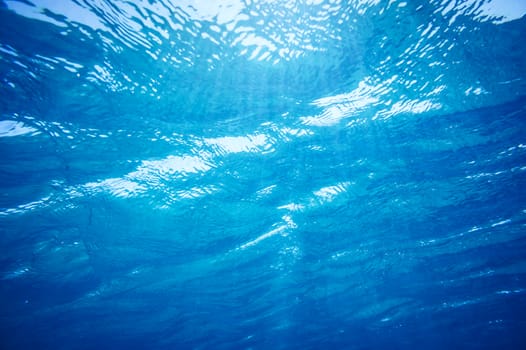 Underwater sunlight beams and shine 