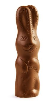 Bunny chocolate isolated on white background