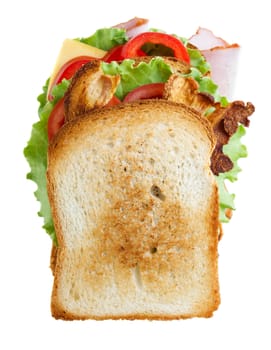 Sandwich isolated on white background