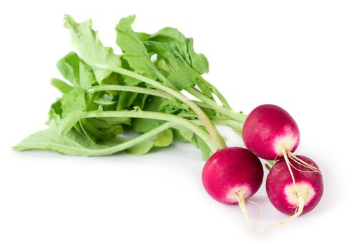 Three fresh radishes isolated on white background