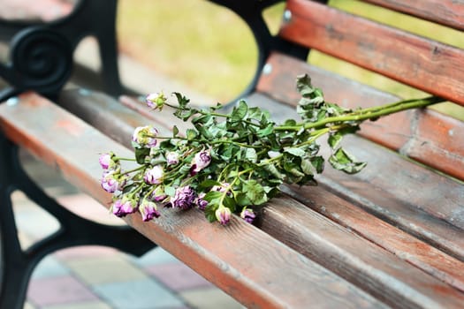 Dry bouquet on bench