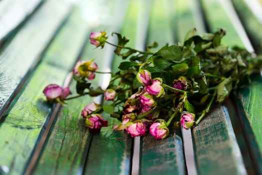 Dry roses bouquet on bench