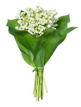 Spring flowers: lily-of-the-valley isolated on white