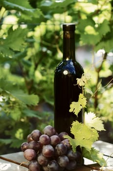 Red wine bottle with grape on green vines background