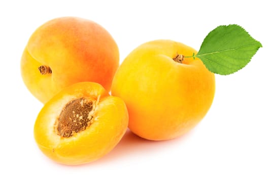 Ripe apricots with leaves isolated on white background