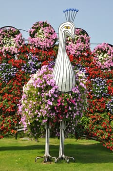 Dubai Miracle Garden in the UAE. It has over 45 million flowers.