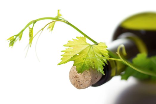 Close up view of  wine bottle and grape vine isolated on white background