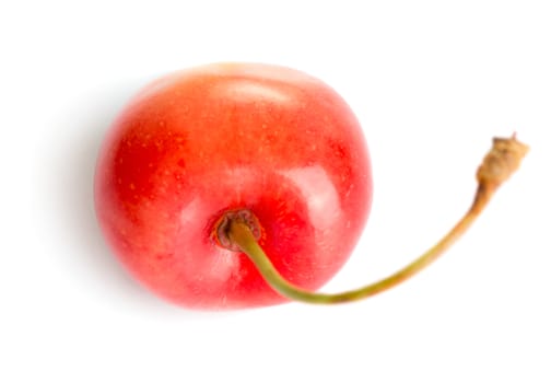 Cherry isolated on white background