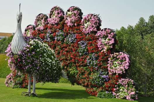 Dubai Miracle Garden in the UAE. It has over 45 million flowers.