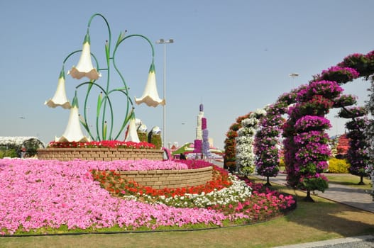 Dubai Miracle Garden in the UAE. It has over 45 million flowers.