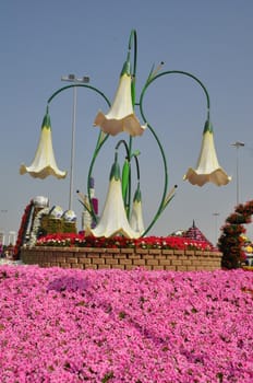 Dubai Miracle Garden in the UAE. It has over 45 million flowers.