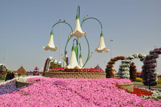 Dubai Miracle Garden in the UAE. It has over 45 million flowers.