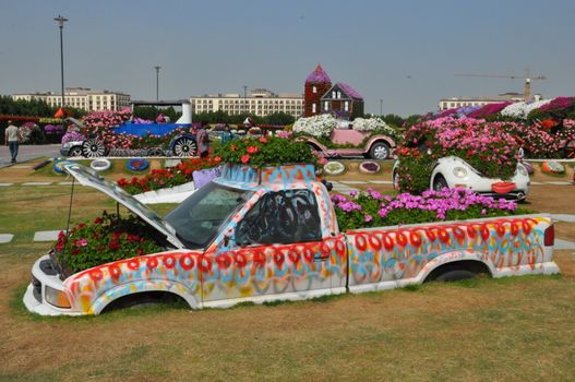 Dubai Miracle Garden in the UAE. It has over 45 million flowers.