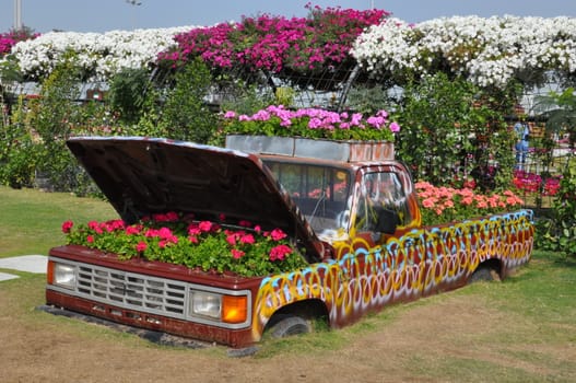 Dubai Miracle Garden in the UAE. It has over 45 million flowers.