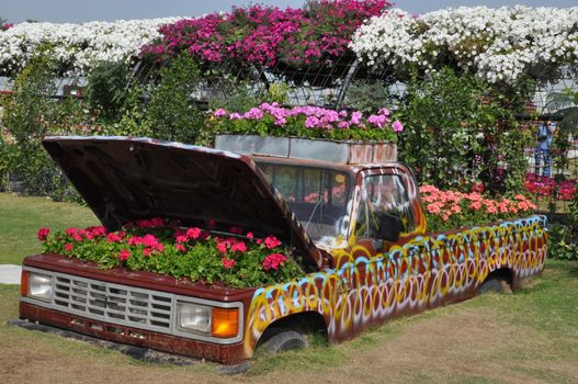 Dubai Miracle Garden in the UAE. It has over 45 million flowers.