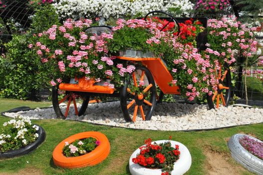 Dubai Miracle Garden in the UAE. It has over 45 million flowers.