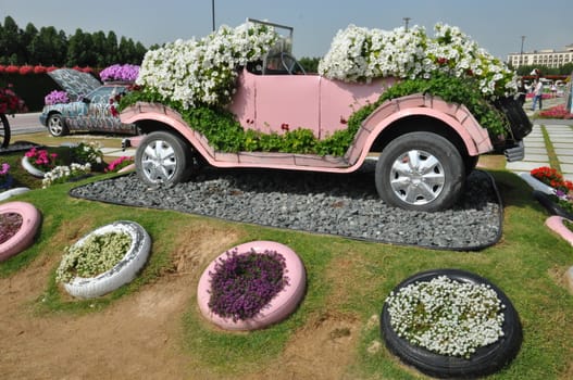 Dubai Miracle Garden in the UAE. It has over 45 million flowers.