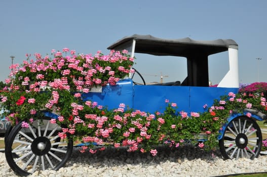 Dubai Miracle Garden in the UAE. It has over 45 million flowers.