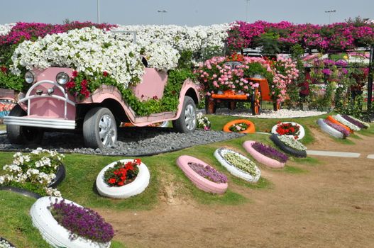 Dubai Miracle Garden in the UAE. It has over 45 million flowers.