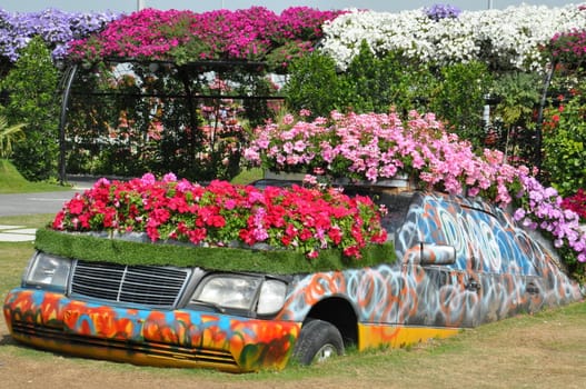 Dubai Miracle Garden in the UAE. It has over 45 million flowers.