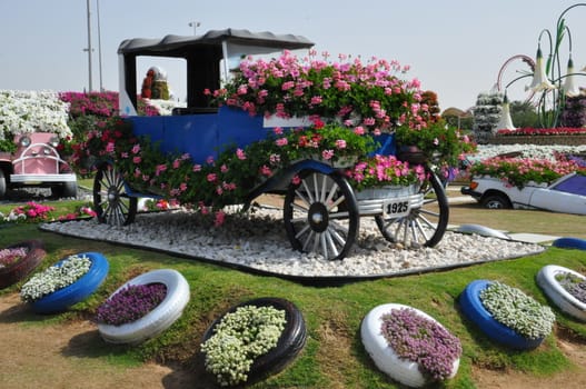 Dubai Miracle Garden in the UAE. It has over 45 million flowers.