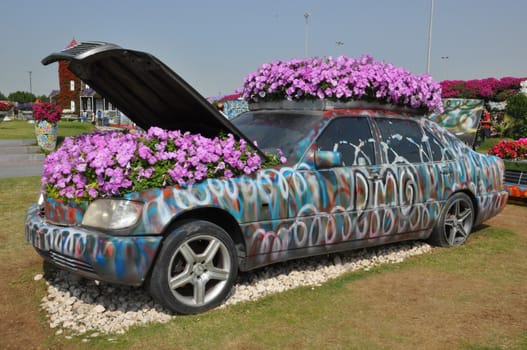 Dubai Miracle Garden in the UAE. It has over 45 million flowers.