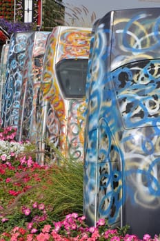 Dubai Miracle Garden in the UAE. It has over 45 million flowers.